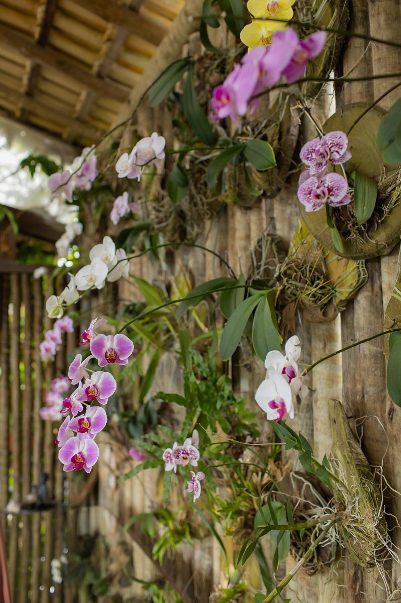 Orquidea Cafe Ξενοδοχείο Guarapari Εξωτερικό φωτογραφία
